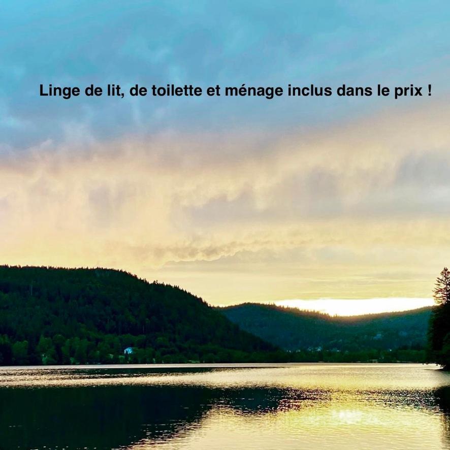 Le Bois Des Neiges Charmant Chalet Authentique A 5 Mn De Gerardmer Xonrupt-Longemer ภายนอก รูปภาพ